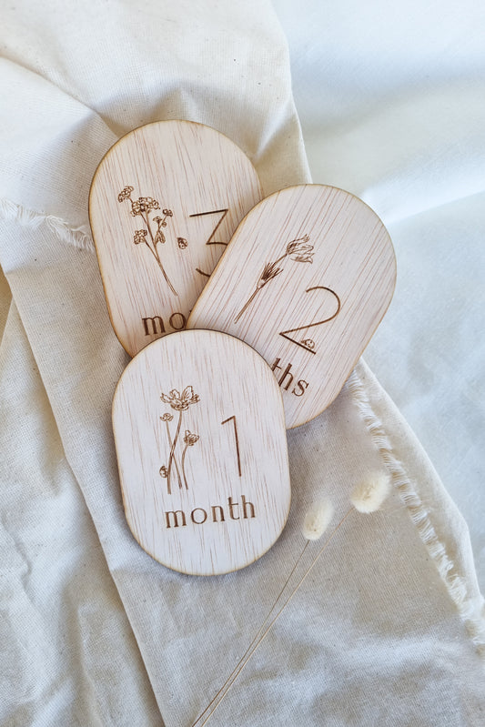 Lady Bug | Milestones