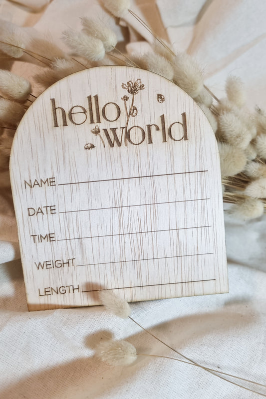 Lady Bug | Hello World